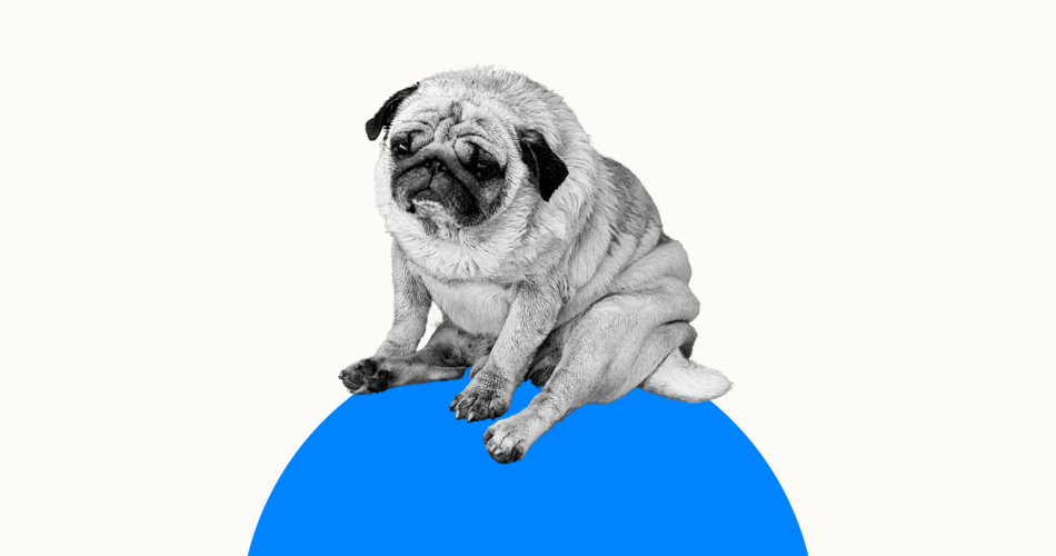 Productivity Shame and How to Fight It