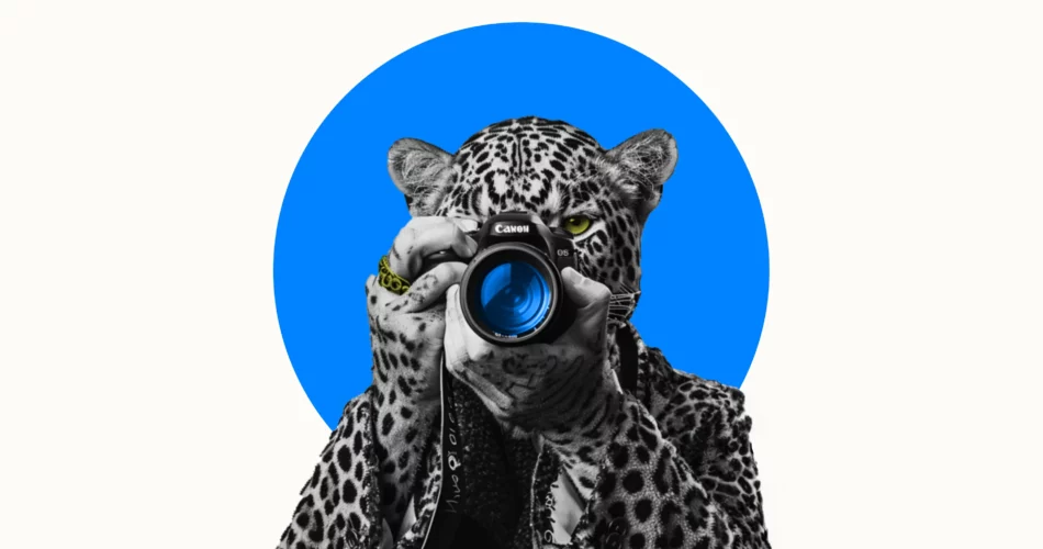 Simple Project Management for Creative Agency