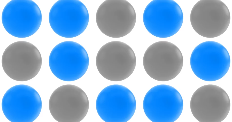 RACI Project Management